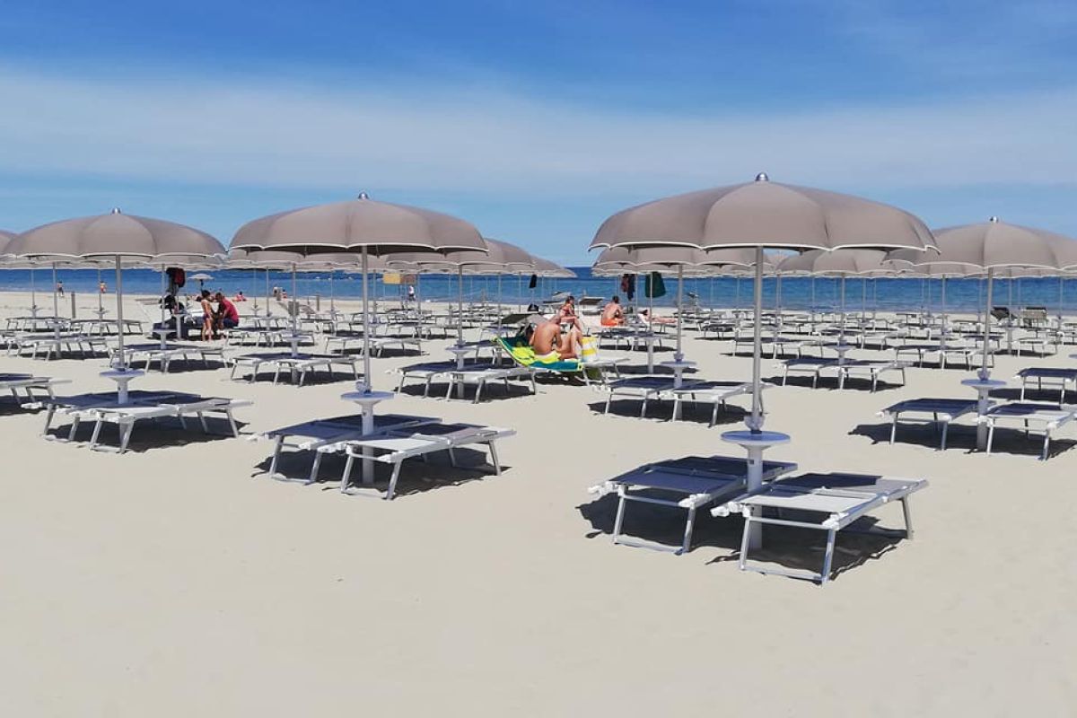 bamboo-beach-f9b1fa69e7493721c7c88303dce1e549