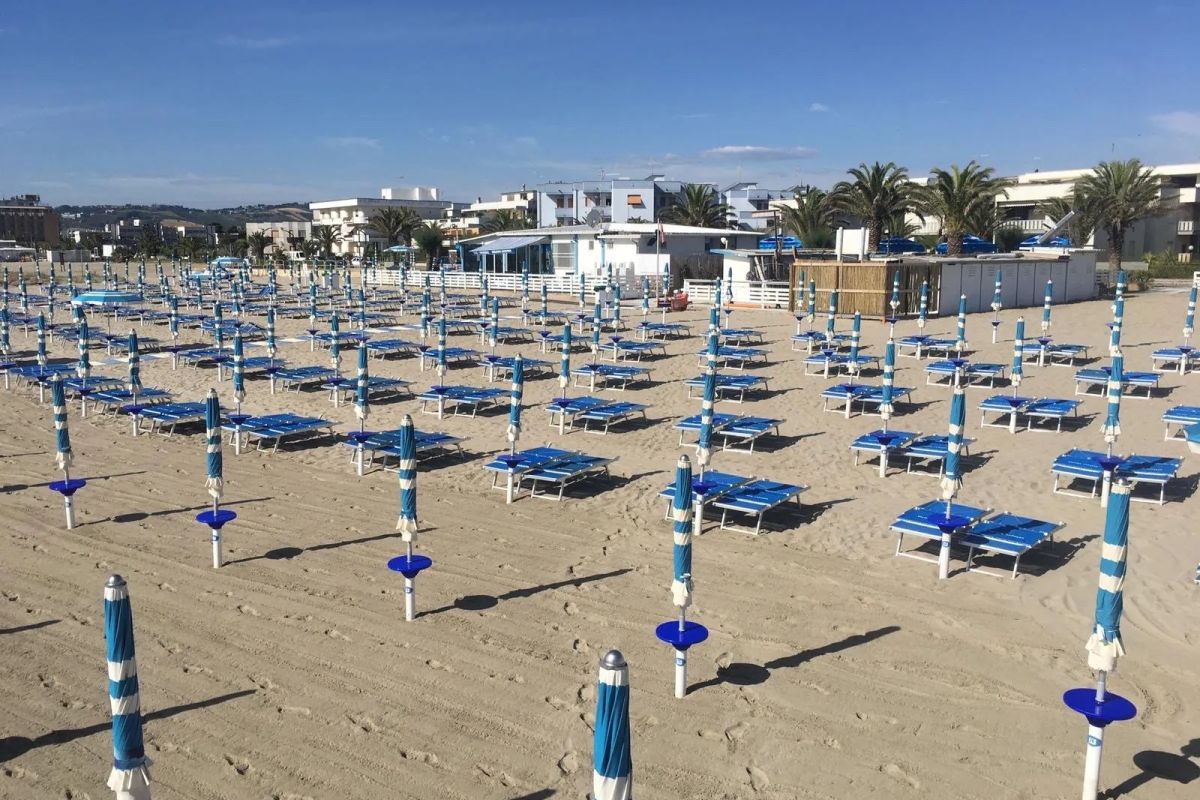 delfino-azzurro-1df0f60118c1e41bfc7b069822182604
