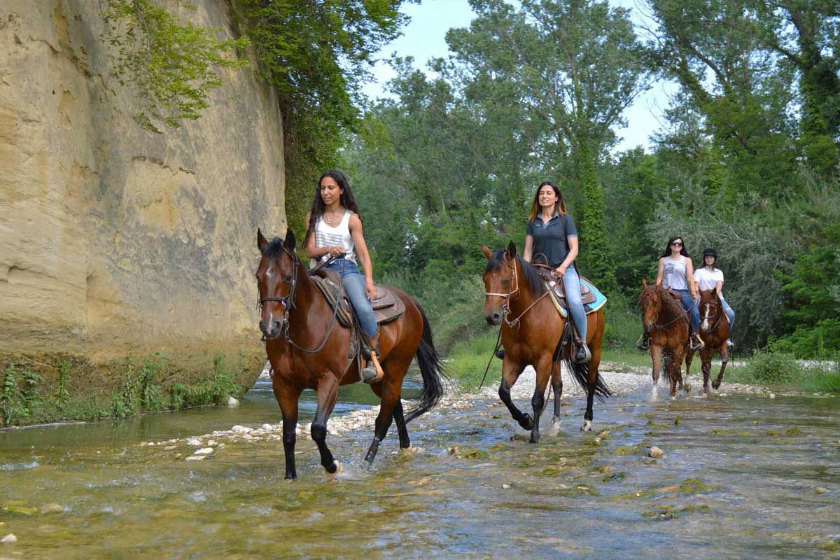escursioni-martinsicuro-01-a5a694f6fec0b8eb6596d2934009e782