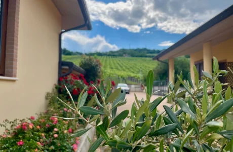 Vigneto - Italian Restaurant & B&B