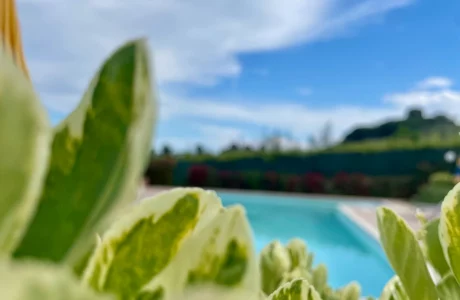 Vigneto - Italian Restaurant & B&B
