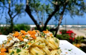 Boca Beach concessione N.48